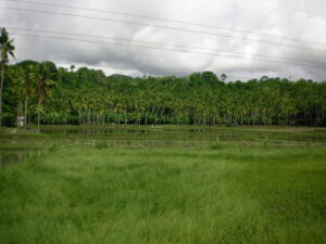 SANYO DIGITAL CAMERA